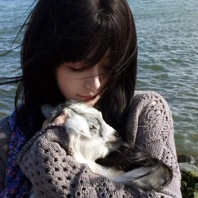 马达加斯加的企鹅第一季